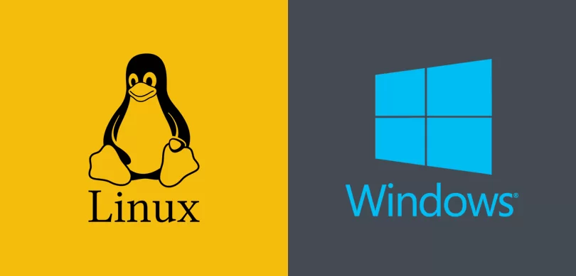 Linux Hosting mi Yoksa Windows Hosting mi Daha Avantajlı?